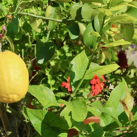 Sosola Baserria * Eibar