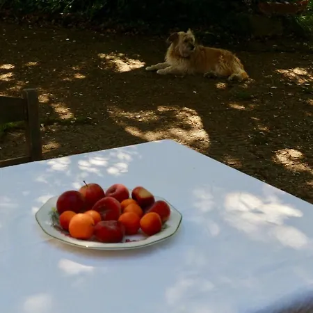 Country house Sosola Baserria *