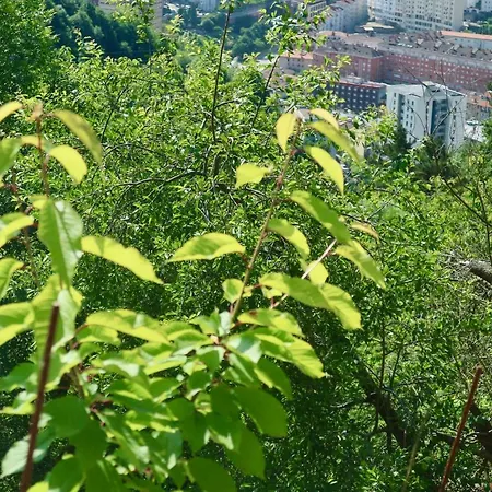 Sosola Baserria * Eibar