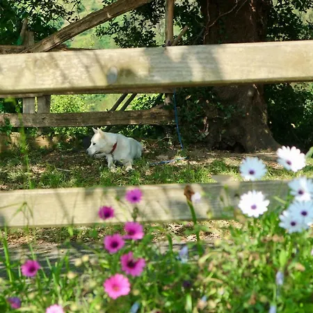 Sosola Baserria * Eibar