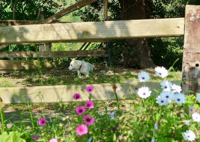 Sosola Baserria * Éibar