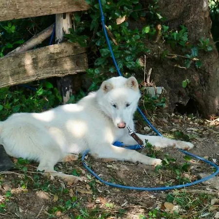 Sosola Baserria * Éibar