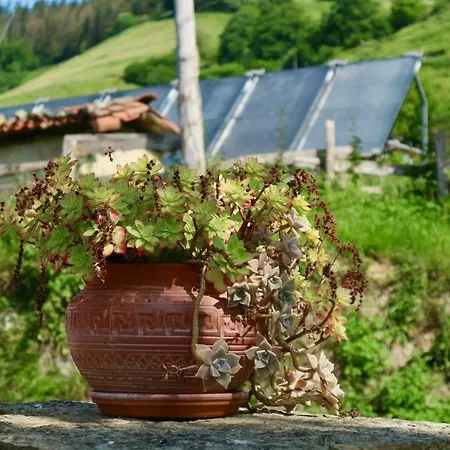 Sosola Baserria * Éibar