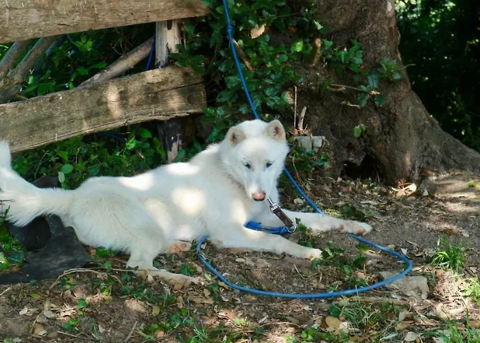 Sosola Baserria * Eibar