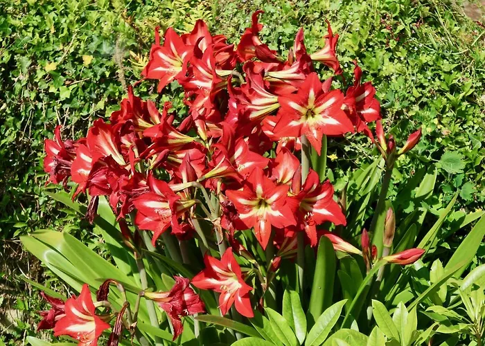 Sosola Baserria Eibar