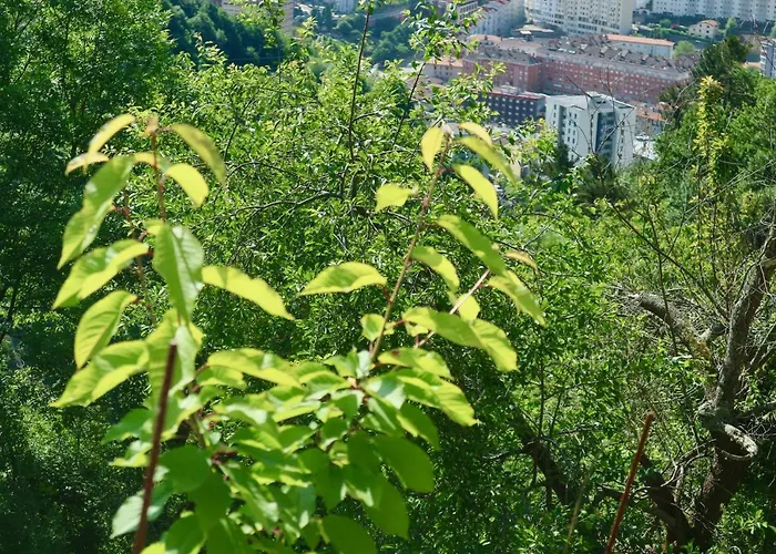 Sosola Baserria * Eibar